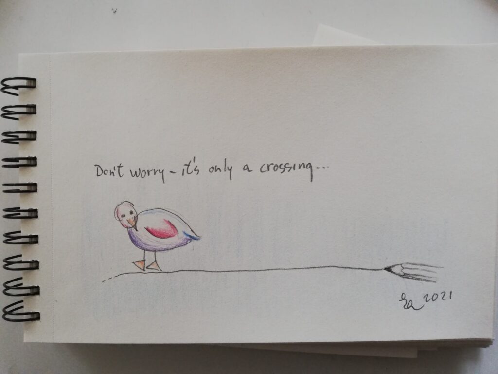 Tegning med teksten: vær ikke bekymret. det er bare en overgang. Satire med en and, der går på en blyantsstreg. Fra coronatiden.